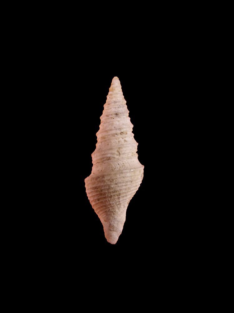 Spagna - 36